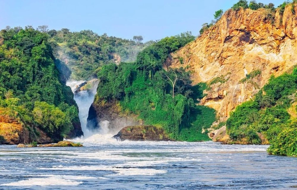 Northern nature safaris